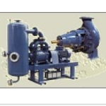 Yona Haber Travaini Liquid Ring Vacuum Pumps Yona Haber