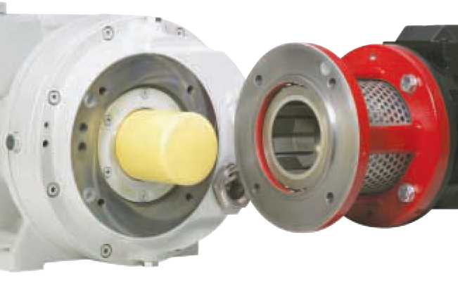 Roots pumps with magnetic coupling magnetic coupling roots