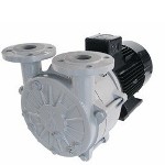 SPECK Pumpen Flüssigkeitsring-Vakuumpumpen SPECK Pumpen