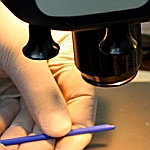 Vitek Research Vitek Research